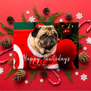 Cartes Pour Fêtes Annuelles Festif Chien de Noël Photo Happy Pawlidays Green