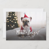 Cartes Pour Fêtes Annuelles Festif Joyeux brillant Chien moderne photo Noël (Devant)