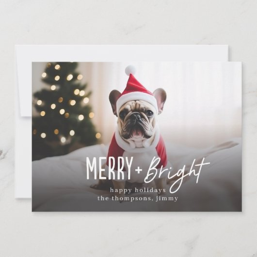 Cartes Pour Fêtes Annuelles Festif Joyeux brillant Chien moderne photo Noël (Devant)