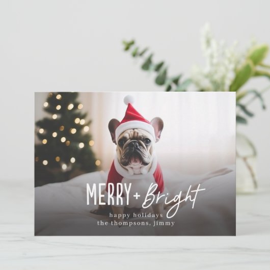 Cartes Pour Fêtes Annuelles Festif Joyeux brillant Chien moderne photo Noël (Debout devant)