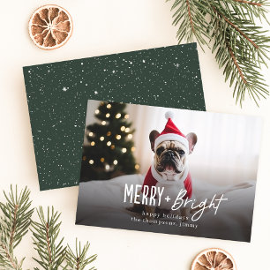 Cartes Pour Fêtes Annuelles Festif Joyeux brillant Chien moderne photo Noël