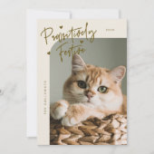 Cartes Pour Fêtes Annuelles Festive de façon pédestre Chat Photo Crème Noël (Devant)