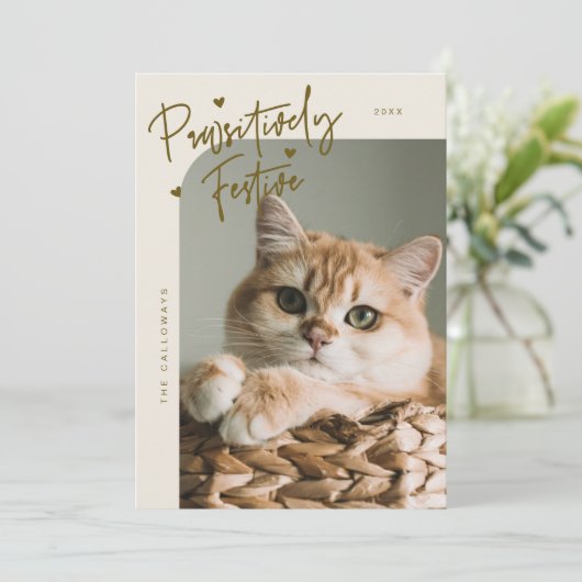 Cartes Pour Fêtes Annuelles Festive de façon pédestre Chat Photo Crème Noël (Debout devant)