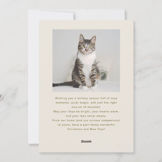 Cartes Pour Fêtes Annuelles Festive de façon pédestre Chat Photo Crème Noël (Dos)