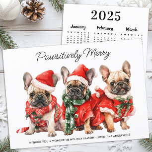 Cartes Pour Fêtes Annuelles Festive French Bulldog Chien 2025 Calendrier Noël