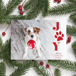 Cartes Pour Fêtes Annuelles Festive Paws Pet Photo Holiday Card