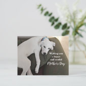 Cartes Pour Fêtes Annuelles Fête des Mères Chiot Blanc Mignon Fatigué Holida (Debout devant)