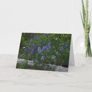 Cartes Pour Fêtes Annuelles Fête des mères des Lupins