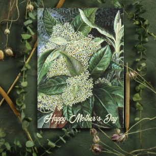 Cartes Pour Fêtes Annuelles Fête des Mères Fleur Blanche