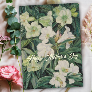 Cartes Pour Fêtes Annuelles Fête des Mères Fleurs Blanches