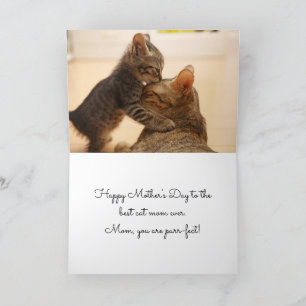 Cartes Pour Fêtes Annuelles Fête des Mères Meilleur Chat Maman Jamais -