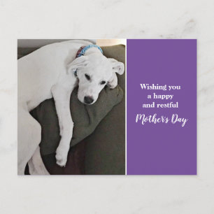 Cartes Pour Fêtes Annuelles Fête des mères mignonne Chien chiot blanc dormant