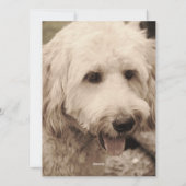 Cartes Pour Fêtes Annuelles Fêtes de Noël (Dos)