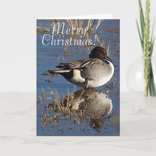 Cartes Pour Fêtes Annuelles Fêtes de Noël des animaux de canard (Devant)