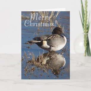 Cartes Pour Fêtes Annuelles Fêtes de Noël des animaux de canard