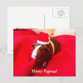 Cartes Pour Fêtes Annuelles Fêtes de Noël du Cochon de Guinée Santa Claus (Devant / Derrière)