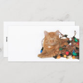 Cartes Pour Fêtes Annuelles Feu de Noël (Devant / Derrière)