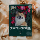 Cartes Pour Fêtes Annuelles Feu et Chien brillant Photo Drôle Noël