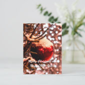 Cartes Pour Fêtes Annuelles Feu rouge de Noël (Debout devant)