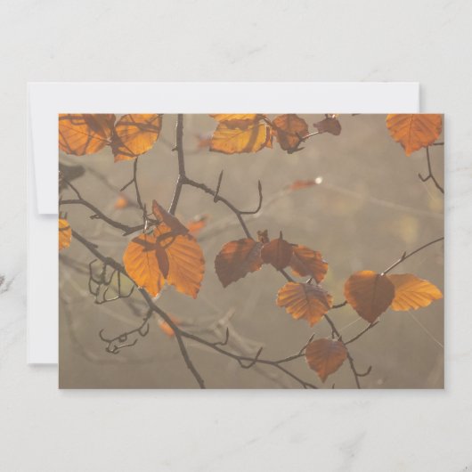 Cartes Pour Fêtes Annuelles Feuilles d'automne (Devant)