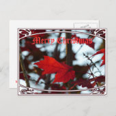 Cartes Pour Fêtes Annuelles Feuilles de vacances (Devant / Derrière)