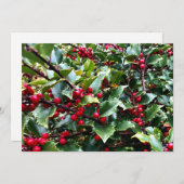 Cartes Pour Fêtes Annuelles Feuilles et baies de houx (Devant / Derrière)