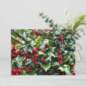 Cartes Pour Fêtes Annuelles Feuilles et baies de houx (Debout devant)