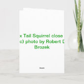 Cartes Pour Fêtes Annuelles Fin d'écureuil de queue de Fox (Dos)