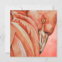 Flamant rose