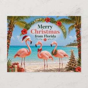 Cartes Pour Fêtes Annuelles Flamants roses festifs de Noël en Floride
