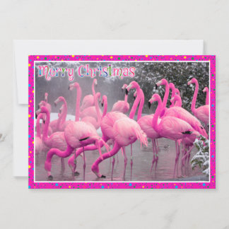 Cartes Pour Fêtes Annuelles Flamants roses roses dans la neige Joyeux Noël