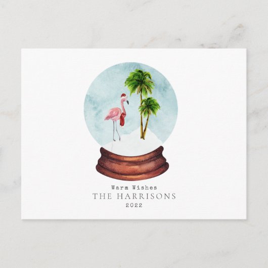 Cartes Pour Fêtes Annuelles Flamingo Vœux Chaleureux Boule à Neige Noël Fêtes (Devant)