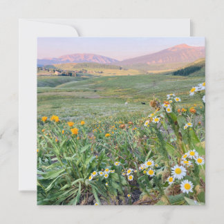 Cartes Pour Fêtes Annuelles Flat Holiday Card