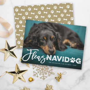 Cartes Pour Fêtes Annuelles Fleas Navidog Paw Print Dog Lover Photo Funny Pet