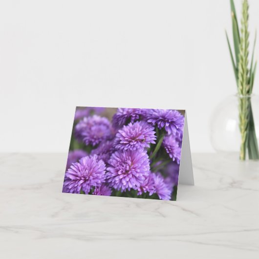 Cartes Pour Fêtes Annuelles Fleur d'Aster de Chine pourpre (Devant)