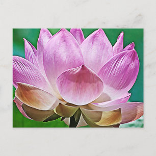 Cartes Pour Fêtes Annuelles Fleur de lotus