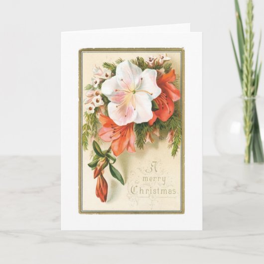 Cartes Pour Fêtes Annuelles Fleur de Noël joyeuse (Devant)