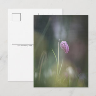 Cartes Pour Fêtes Annuelles Fleur d'échecs Photo de nature