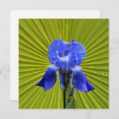 Cartes Pour Fêtes Annuelles Fleur d'Iris (Devant / Derrière)