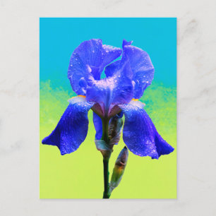 Cartes Pour Fêtes Annuelles Fleur d'Iris
