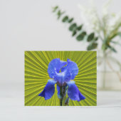 Cartes Pour Fêtes Annuelles Fleur d'Iris (Debout devant)