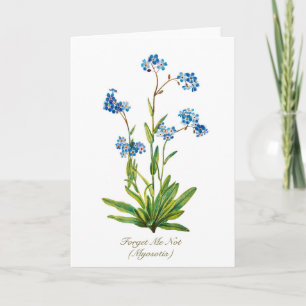 Cartes Pour Fêtes Annuelles Fleur élégante vintage botanique Ne m'oubliez pas