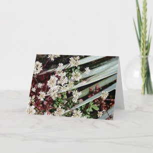 Cartes Pour Fêtes Annuelles fleur et feuille de cactus blanc