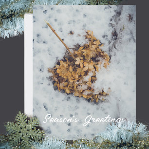 Cartes Pour Fêtes Annuelles Fleur Hortensia sur la neige