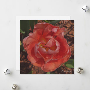 Cartes Pour Fêtes Annuelles fleur rouge