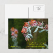 Cartes Pour Fêtes Annuelles Fleur Succulent (Devant / Derrière)