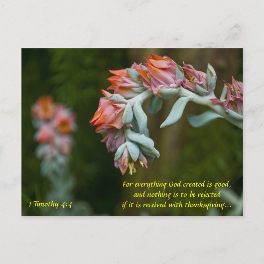 Cartes Pour Fêtes Annuelles Fleur Succulent (Devant)