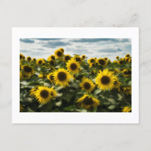 Cartes Pour Fêtes Annuelles fleurs