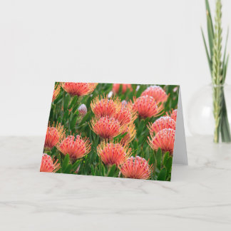 Cartes Pour Fêtes Annuelles Fleurs autochtones, Cap Afrique du Sud