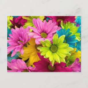 CARTES POUR FÊTES ANNUELLES FLEURS COLORÉES VIVES